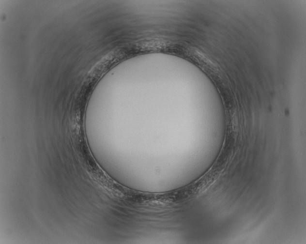 X0000076390737200610271552