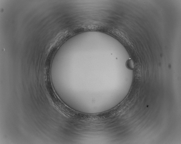 X0000076390738200610271552