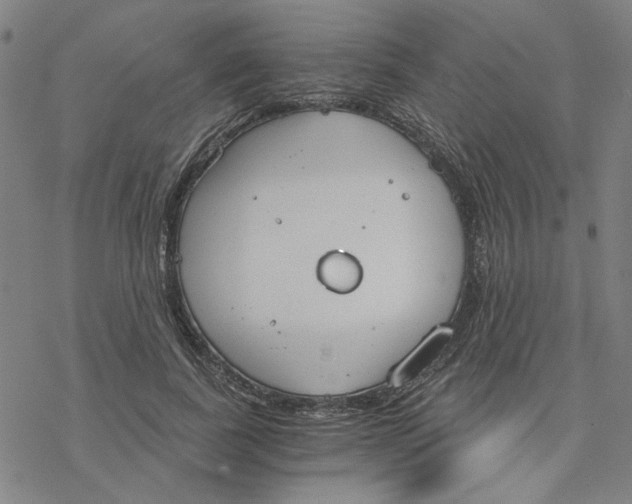 X0000076390739200610271552