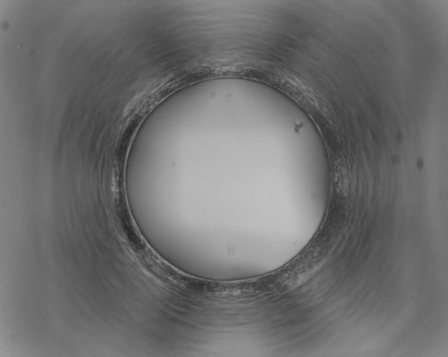 X0000076390740200610271552