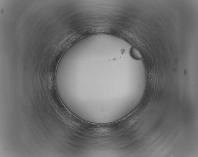 X0000076390741200610271552