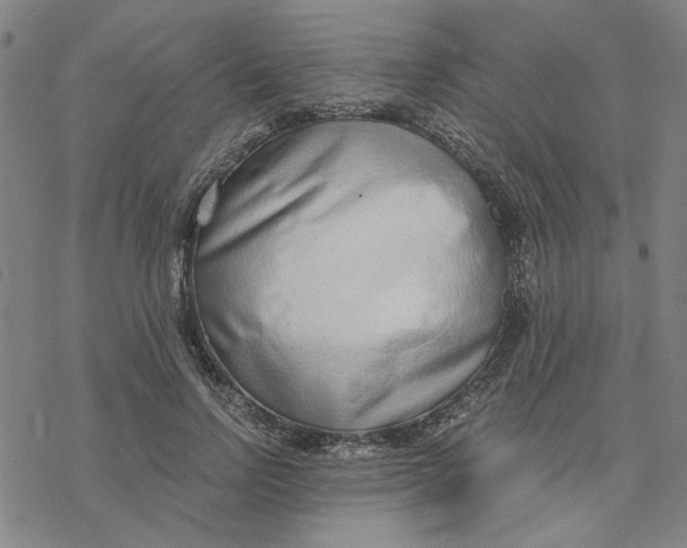 X0000076390742200610271552