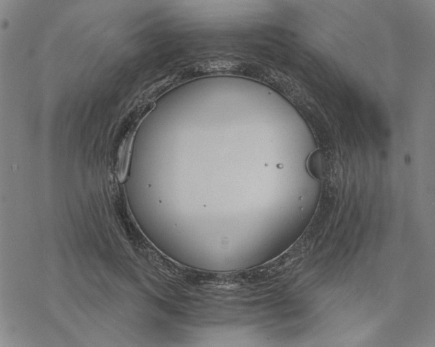 X0000076390743200610271552