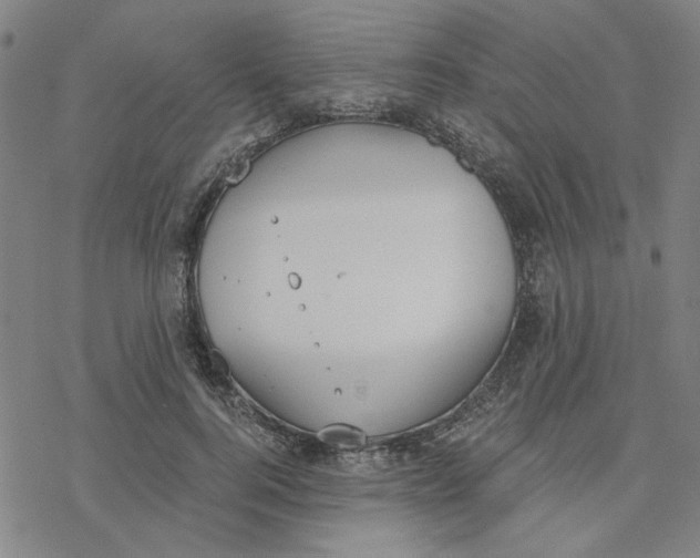 X0000076390744200610271552