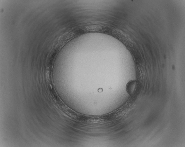 X0000076390745200610271552