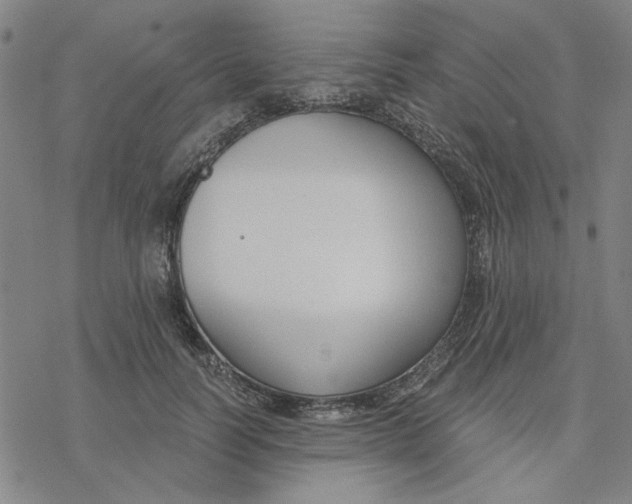 X0000076390746200610271552