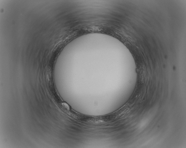 X0000076390747200610271552