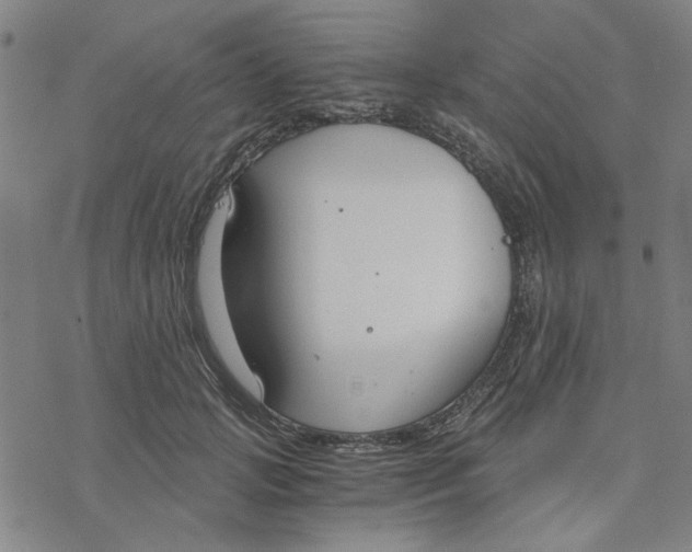 X0000076390749200610271552