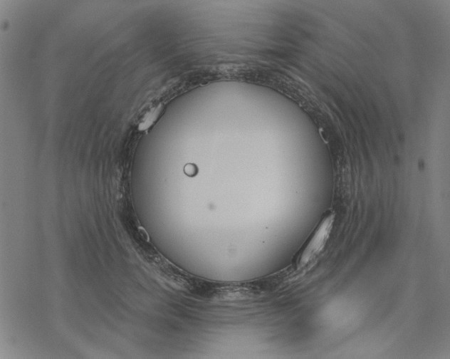 X0000076390750200610271552