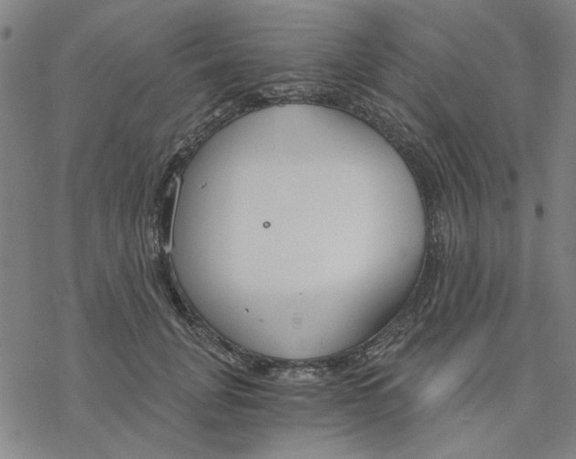 X0000076390751200610271552