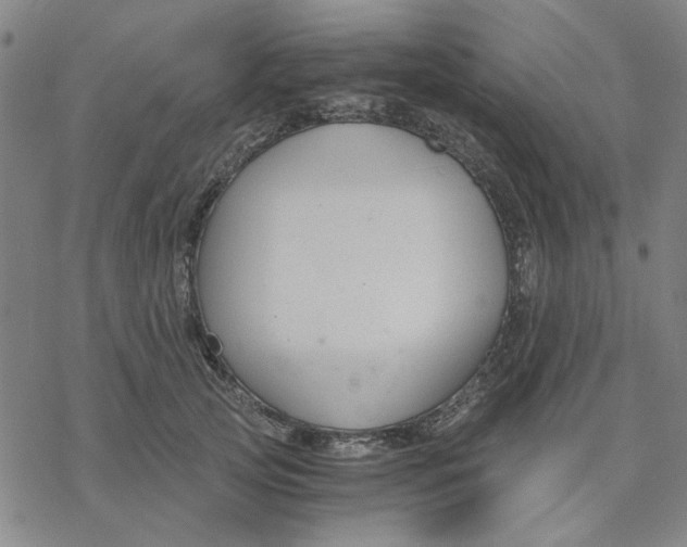 X0000076390753200610271552