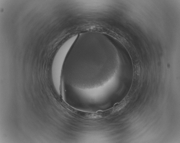 X0000076390754200610271552