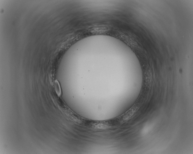 X0000076390755200610271552