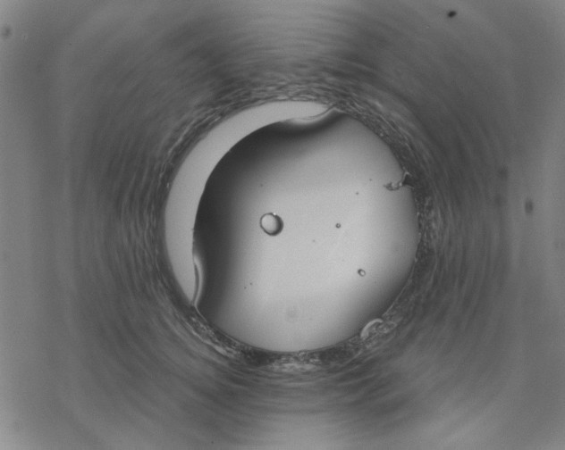 X0000076390756200610271552