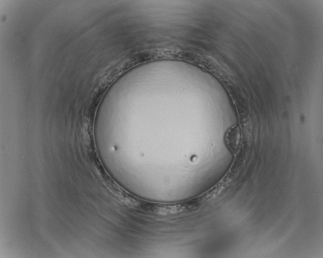 X0000076390757200610271553