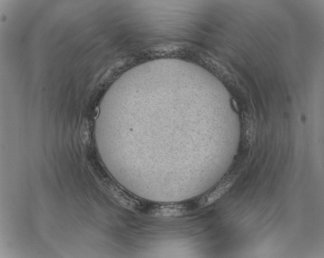 X0000076390758200610271553