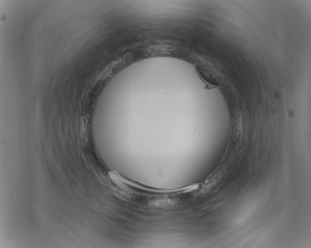 X0000076390759200610271553