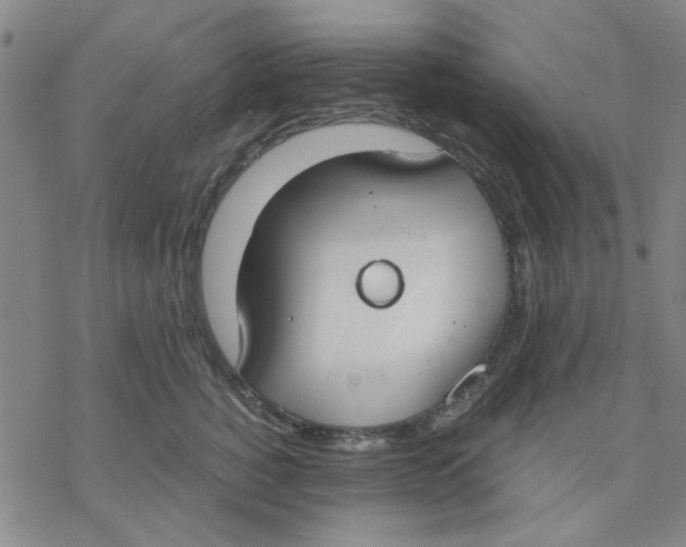 X0000076390760200610271553