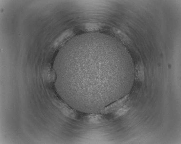 X0000076390762200610271553