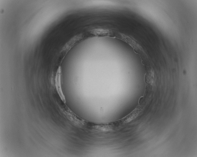 X0000076390763200610271553