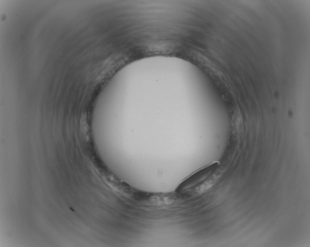 X0000076390764200610271553