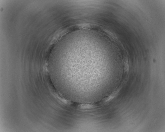 X0000076390766200610271553