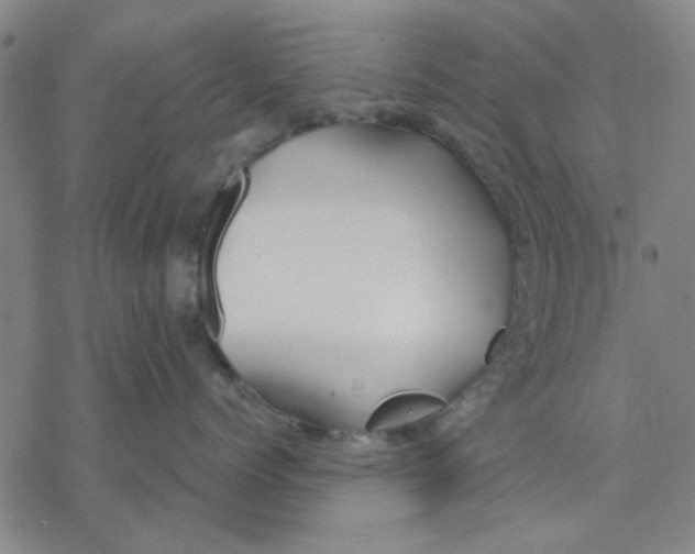 X0000076390768200610271553