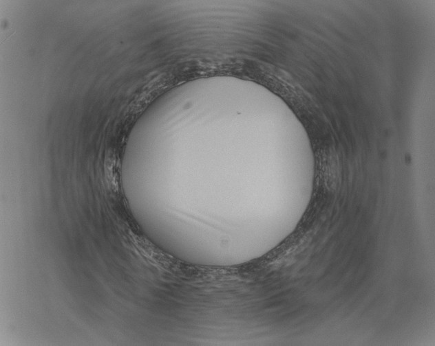 X0000076390770200610271552