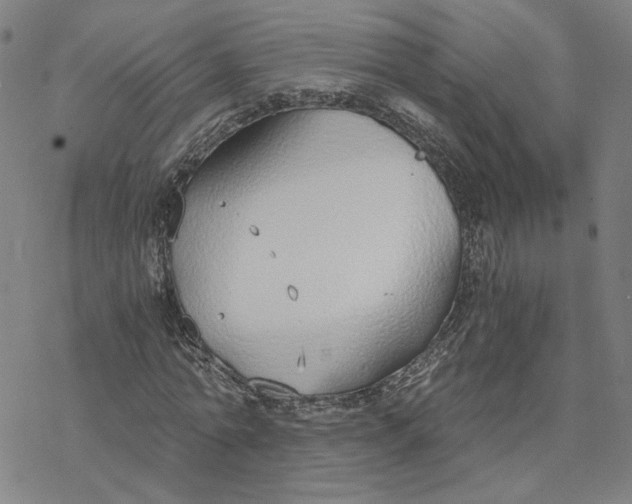 X0000076390774200610271552