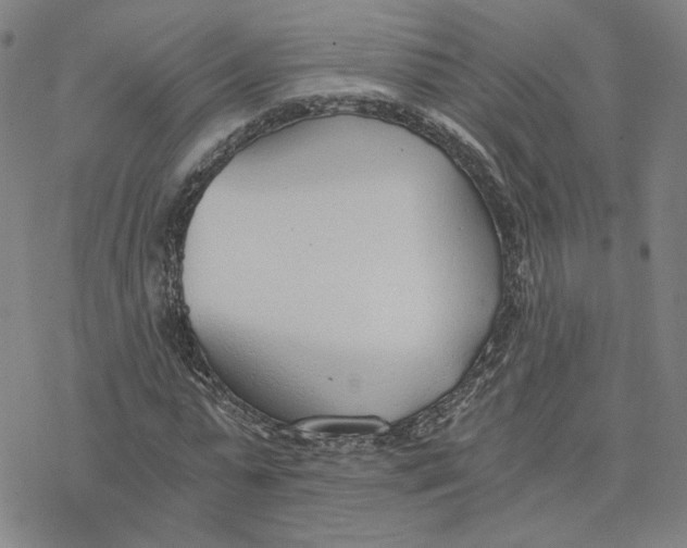 X0000076390775200610271552