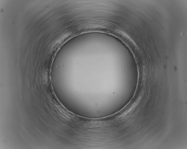 X0000076390777200610271552