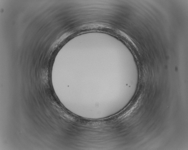 X0000076390778200610271552