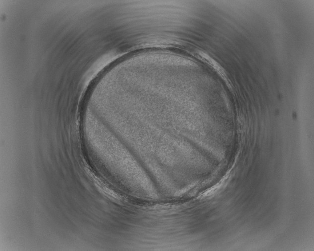 X0000076390779200610271552