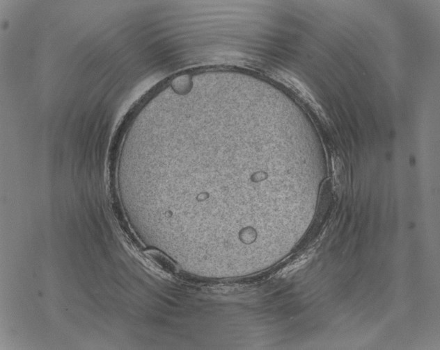 X0000076390780200610271552