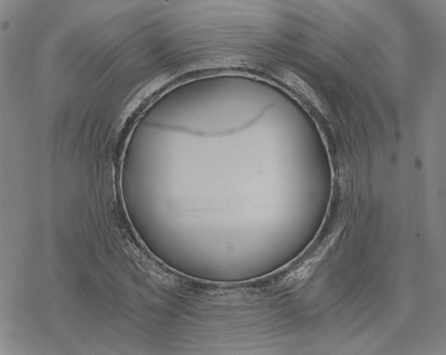 X0000076390781200610271552