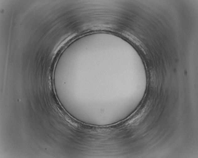 X0000076390782200610271552