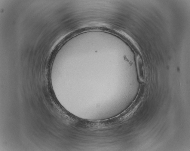 X0000076390783200610271552