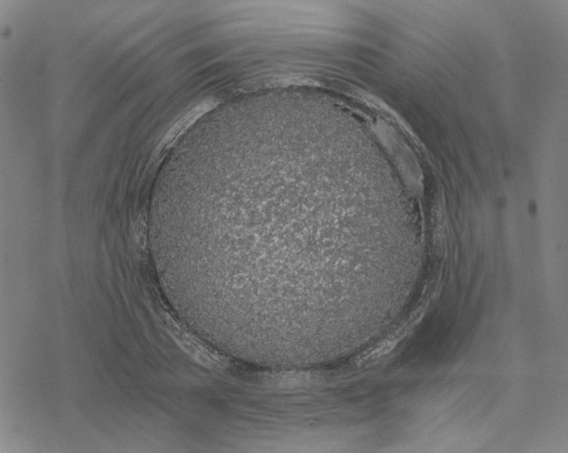 X0000076390785200610271552