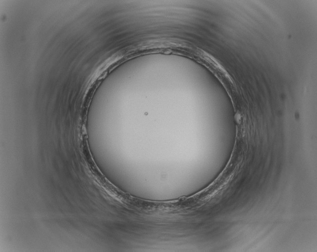 X0000076390786200610271552