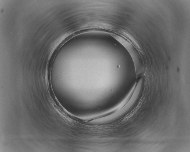 X0000076390788200610271552