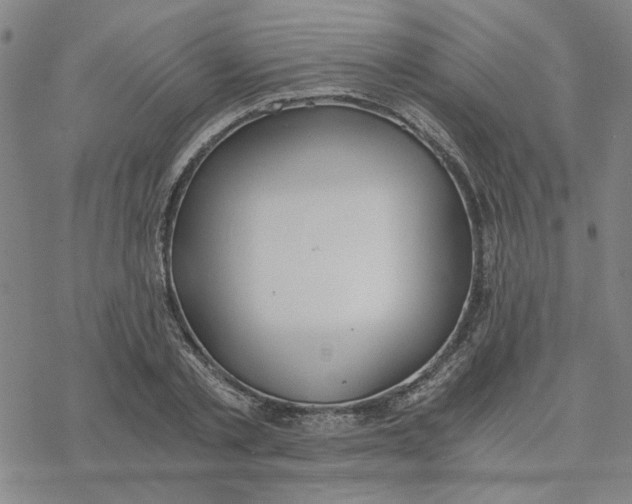 X0000076390789200610271552