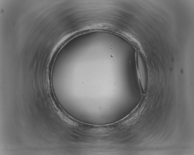 X0000076390792200610271552