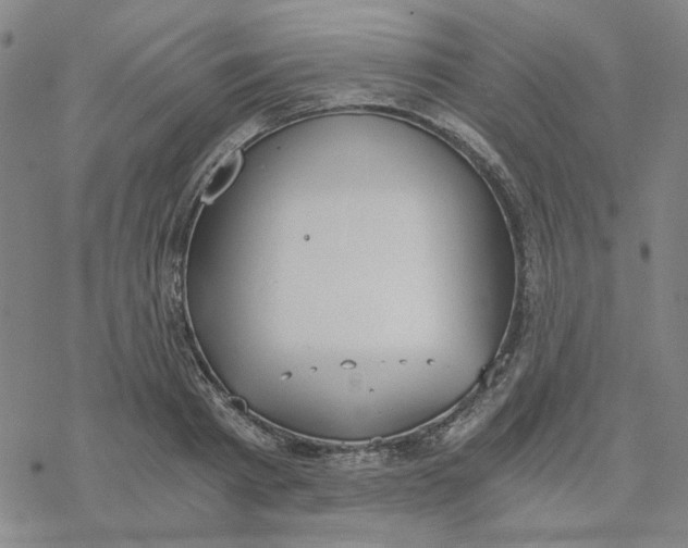 X0000076390793200610271552