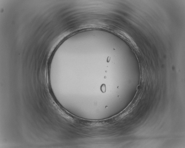 X0000076390796200610271551