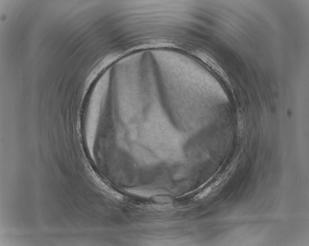 X0000076390797200610271551