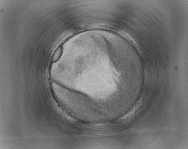 X0000076390798200610271551