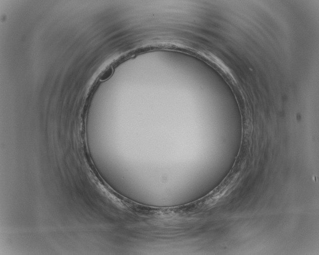 X0000076390799200610271551