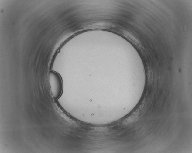 X0000076390800200610271551