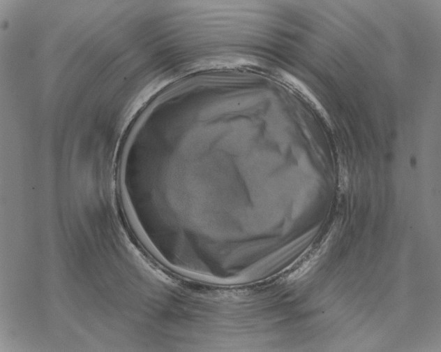 X0000076390802200610271551