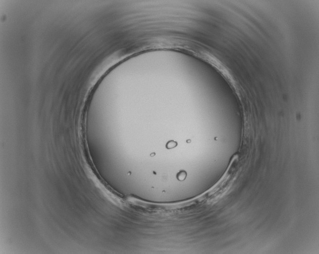 X0000076390803200610271551